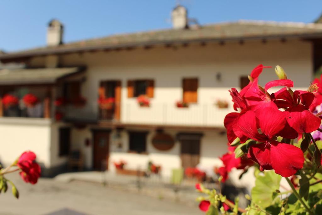 Agriturismo Au Jardin Fleuri Antey-Saint-André Kültér fotó